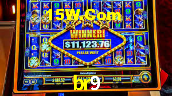 Premium Interface br9